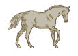 greyrun.gif